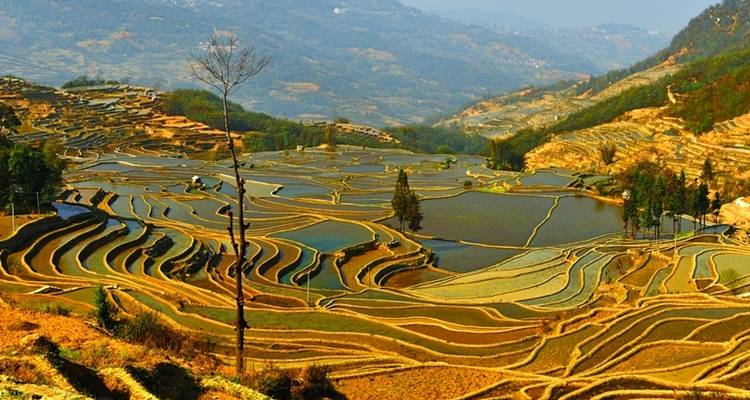 Yunnan Highlights 14D: Kunming, Red Land, Yuanyang, Dali, Lijiang and Shangri-La - Silk Road Trips 1