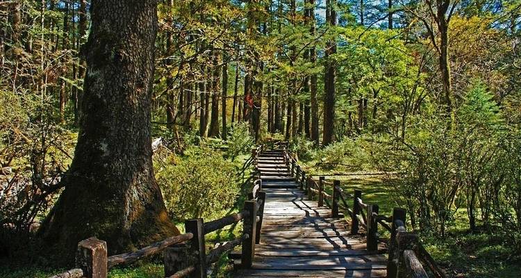Yunnan Highlights 14D: Kunming, Red Land, Yuanyang, Dali, Lijiang and Shangri-La - Silk Road Trips 6