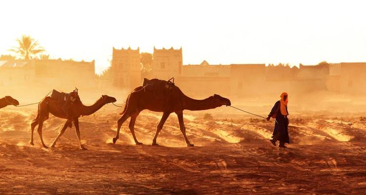 Ein Führer in wallendem Gewand führt zwei Kamele bei Sonnenuntergang durch eine staubige goldene Wüste.