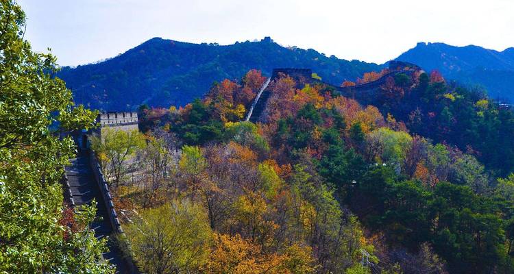 La Grande Muraille au milieu d'une forêt avec un feuillage d'automne, sous un ciel bleu.