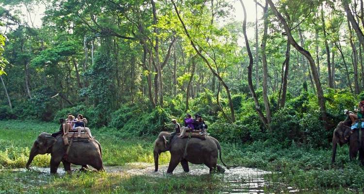 Chitwan Jungle Package circuito - 3 noches 4 días - Himalayan Adventure Treks & Tours 4