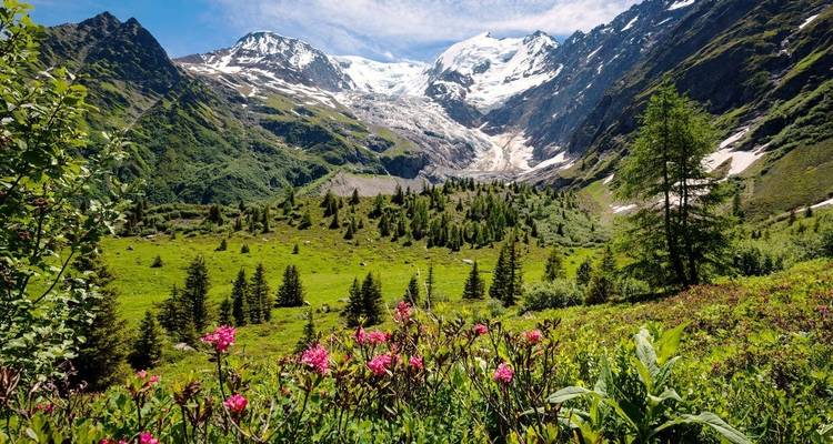 Tour du Mont Blanc Trek - Explore! 3