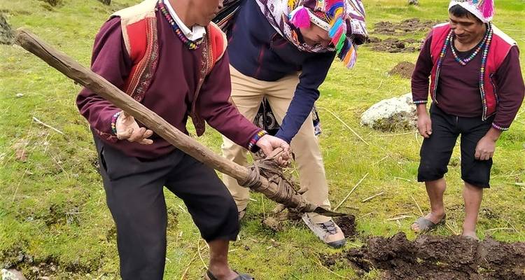 Confort Camino Inca 3 días 2 noches - TreXperience 2