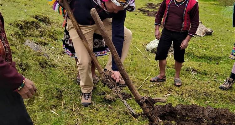 Confort Camino Inca 3 días 2 noches - TreXperience 3
