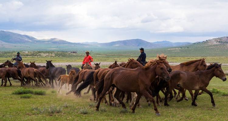 Esencia de Mongolia - 3 días - Tour Mongolia 8