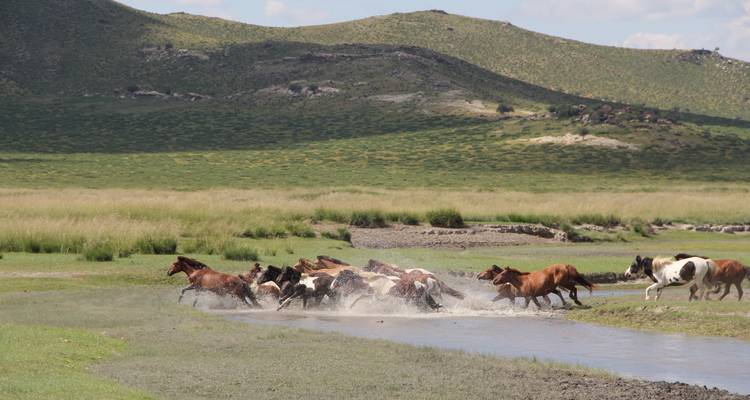 Esencia de Mongolia - 4 días - Tour Mongolia 1