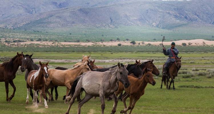 Esencia de Mongolia - 4 días - Tour Mongolia 4