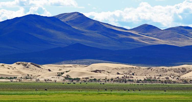 Essence de la Mongolie - 5 jours - Tour Mongolia 7