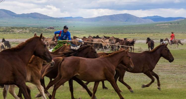 Essence de la Mongolie - 5 jours - Tour Mongolia 10