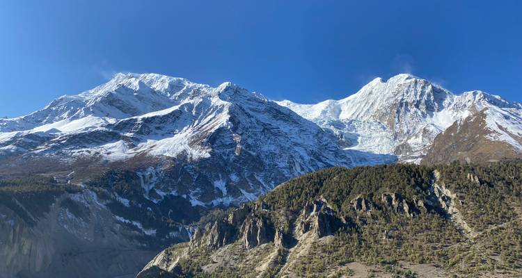 Caras montañosas imponentes cubiertas de nieve que se elevan sobre laderas boscosas más bajas bajo un cielo azul cristalino.