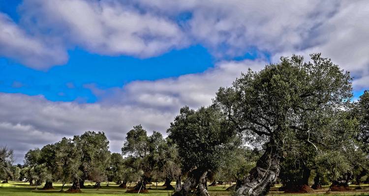 Discover Matera and Taste of Salento Tour - Soleto Travel 3