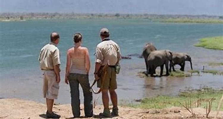 Safaris en 4x4 et à pied pour les Big 5. Circuit de 4 jours - Little Roz Tours 6