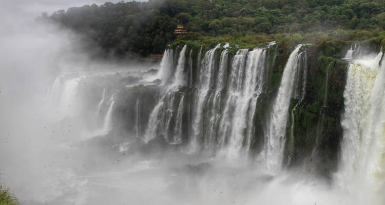 Escapada de 4 días a Hwange y las cataratas Victoria - Little Roz Tours 3
