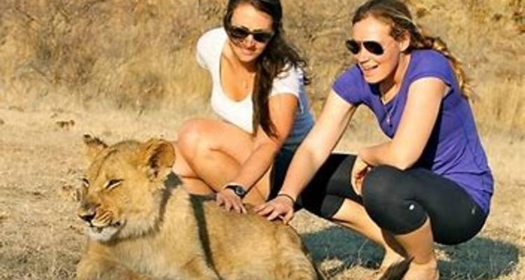 Escapada de 4 días a Hwange y las cataratas Victoria - Little Roz Tours 7