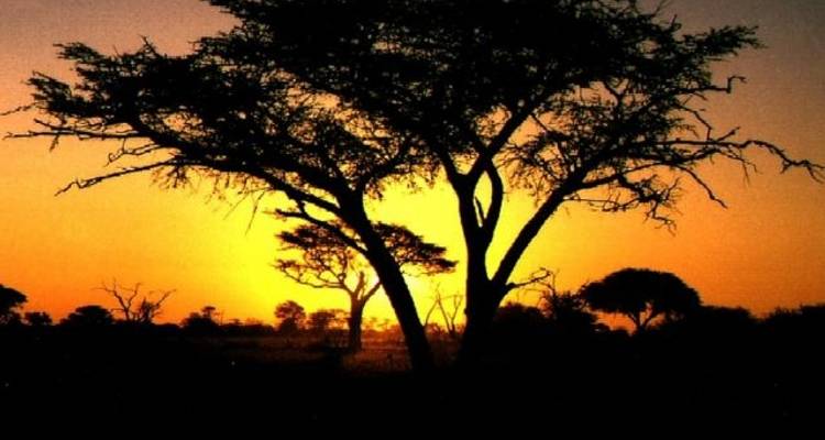 Escapada de 4 días a Hwange y las cataratas Victoria - Little Roz Tours 2