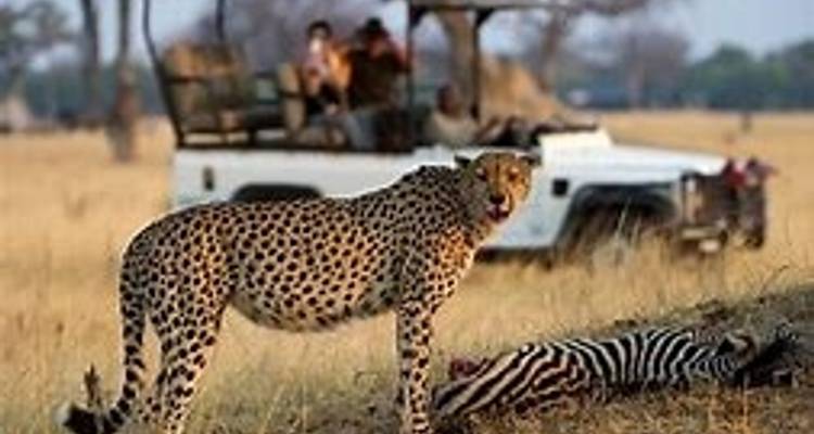 Escapada de 4 días a Hwange y las cataratas Victoria - Little Roz Tours 5