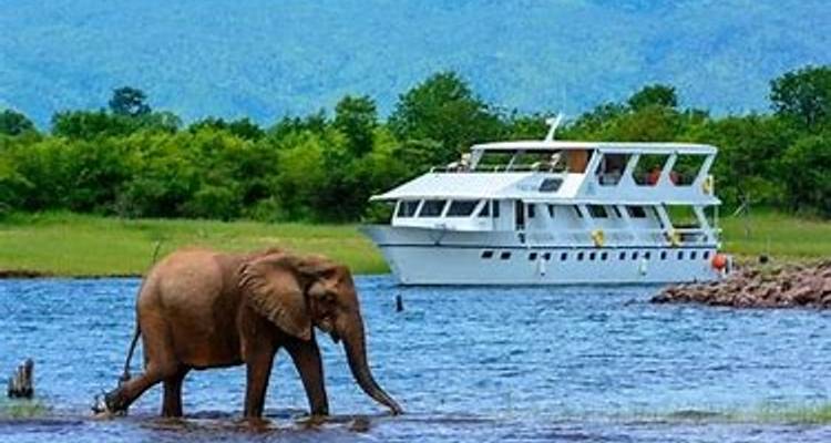 4 jours d'aventure aux chutes Victoria et de safari à Hwange - Little Roz Tours 7