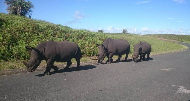 4 jours d'aventure aux chutes Victoria et de safari à Hwange - Little Roz Tours 6
