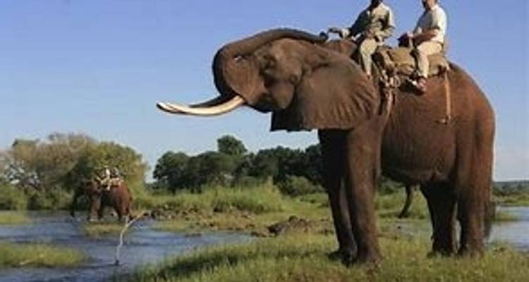 4 jours d'aventure aux chutes Victoria et de safari à Hwange - Little Roz Tours 2