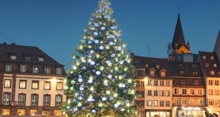 The Magic of Christmas: Savory delights and holiday traditions on a Rhine River cruise - CroisiEurope River Cruises 6