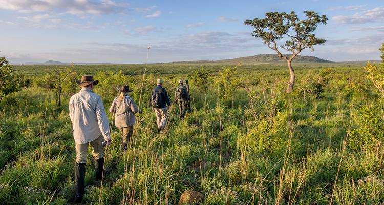 5 jours de safari dans le parc national Kruger et circuit sur la route panoramique - The Mzansi Experience 7
