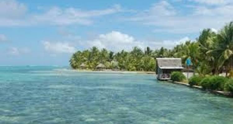 Madagascar Eastern treasure - Green Island Discovery 8