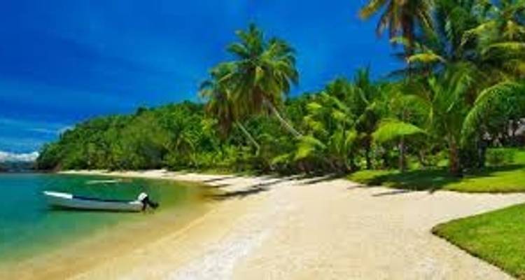 Madagascar Eastern treasure - Green Island Discovery 5