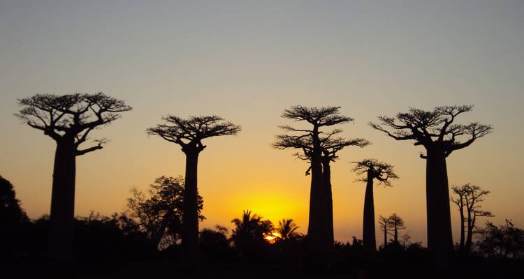 West of Madagascar in 12 Days - Green Island Discovery 9