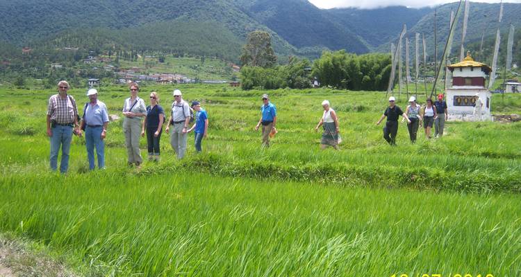 Groep mensen die door een groen veld wandelt in een bergachtig gebied.
