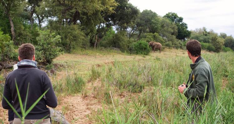 4 Day Classic Kruger Park Safari - Viva Safaris 6