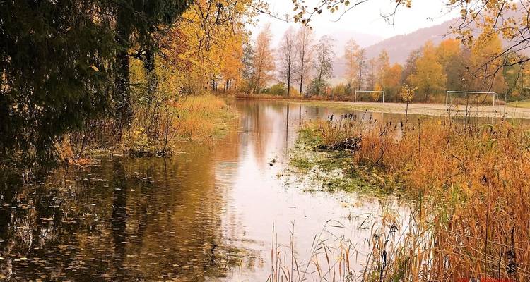 Visit Fjords in Golden Autumn - Uniktur 8