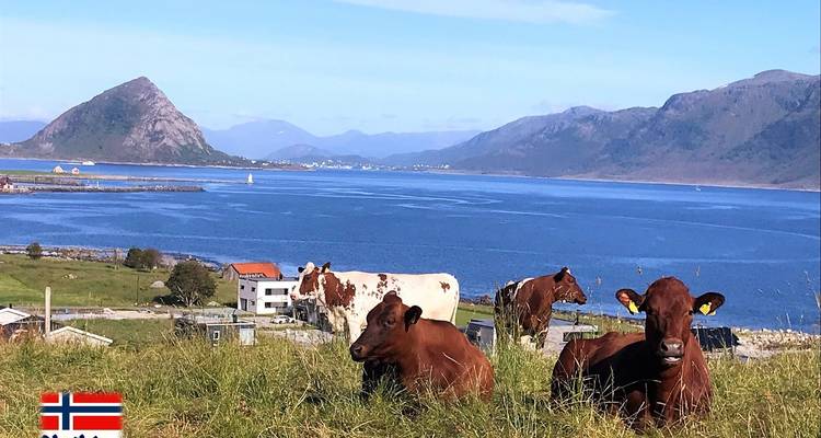 4 días en la encantadora Alesund - Uniktur 10