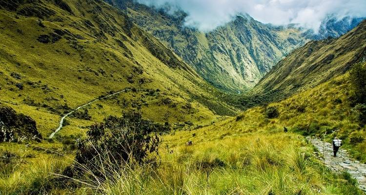 Peru: Inca Jungle & Rainbow Mountain Trek - G Adventures 7