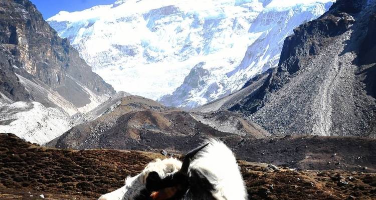 Everest view Trek 7 days - Mega Mount Treks and Expedition Pvt.Ltd.  7