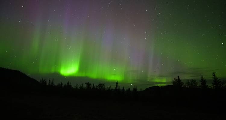 Aurora boreal iluminando el cielo nocturno sobre un bosque en silueta.