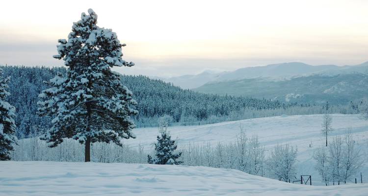 Yukon Winter Dream | Aventure hivernale active - Arctic Range Adventure 4