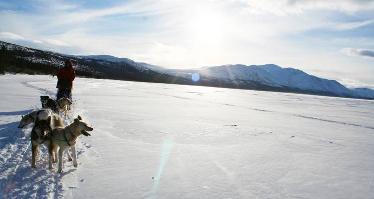 Yukon Winter Dream | Aventure hivernale active - Arctic Range Adventure 6