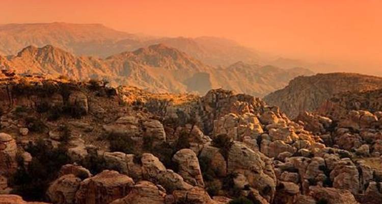 Family Tour (Private-tailormade) - Why Jordan Tours 2