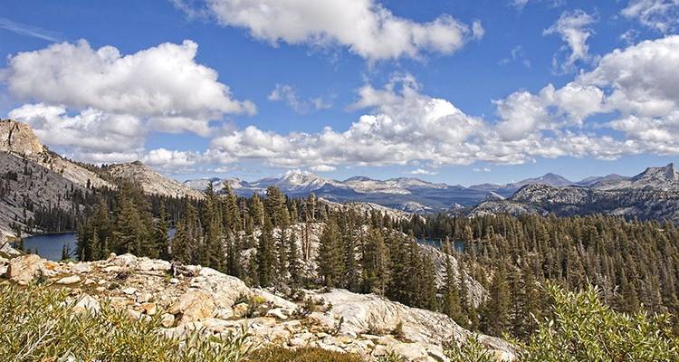 Le meilleur de Yosemite - Wildland Trekking 8