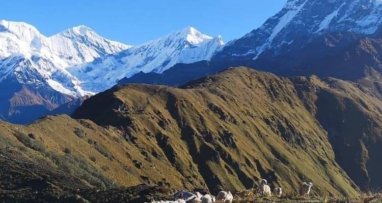 Mardi Himal excursionismo - 6 días - White Hill Adventure Treks and Expedition Pvt Ltd 3