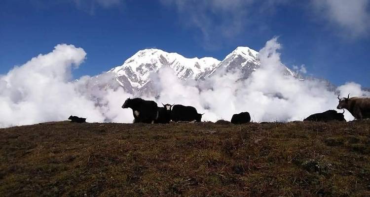 Mardi Himal excursionismo - 6 días - White Hill Adventure Treks and Expedition Pvt Ltd 4