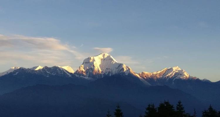 Excursión a Poon Hill - 6 días - White Hill Adventure Treks and Expedition Pvt Ltd 1