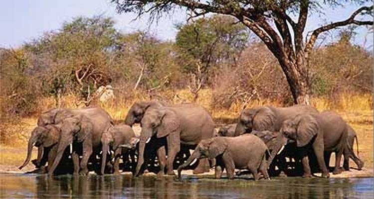 Zimbabwe Panorama Trip - Afro Honeyguide Adventures 8