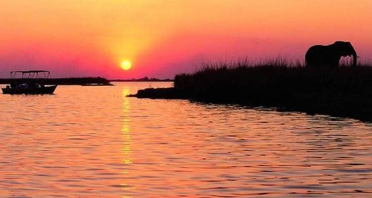 Cataratas Victoria Hwange y Chobe - Afro Honeyguide Adventures 7