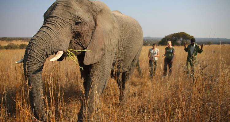 Cataratas Victoria Hwange y Chobe - Afro Honeyguide Adventures 3