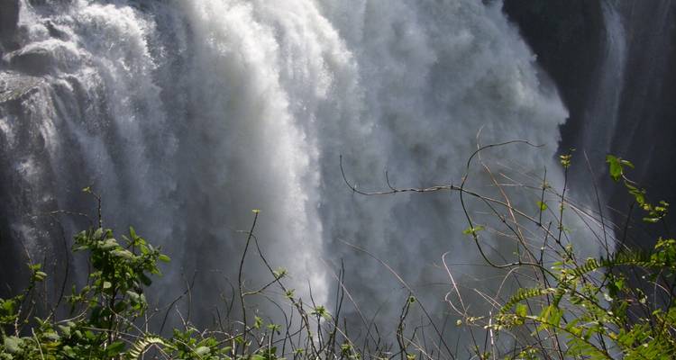 Cataratas Victoria Hwange y Chobe - Afro Honeyguide Adventures 2