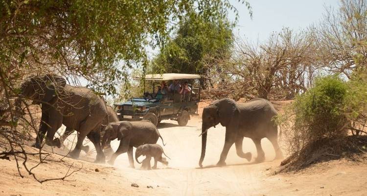 Chutes Victoria et Chobe - Afro Honeyguide Adventures 4