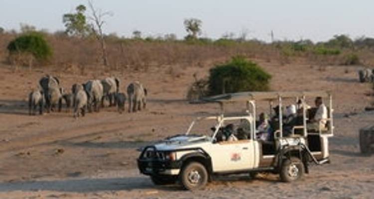 Chutes Victoria et Chobe - Afro Honeyguide Adventures 3