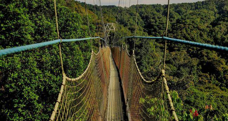 8-Day Rwanda’s Nyungwe, Lake Kivu & Gorillas - Golden Rwanda Safaris Ltd 3