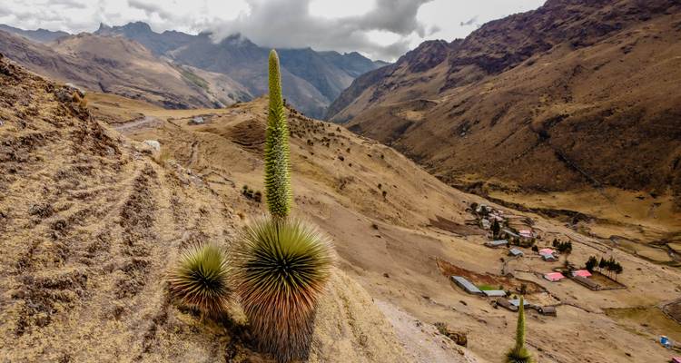 Trek de Lares au Machu Picchu 4 jours 3 nuits - TreXperience 7